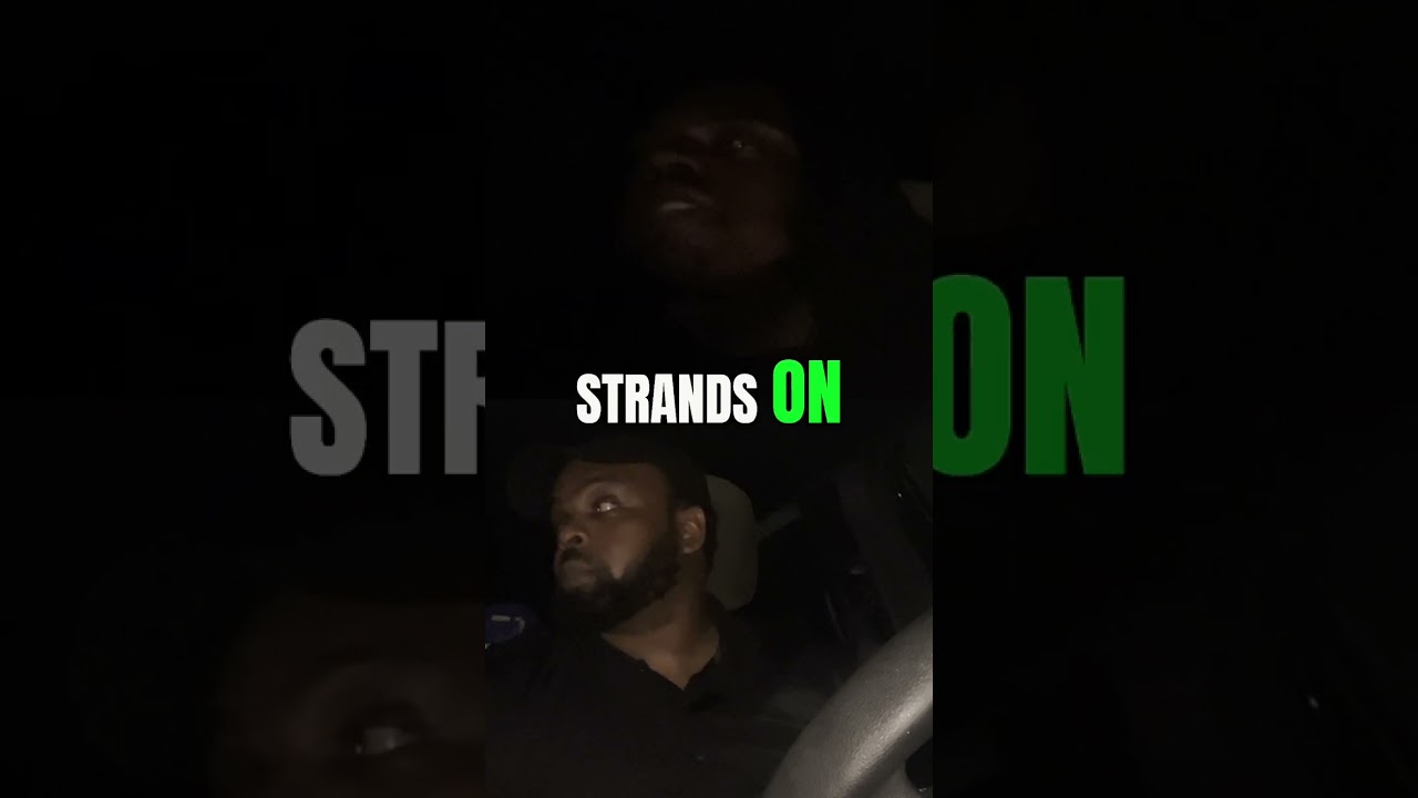 Top 5 Strains! 💨 Our Favorite Smoke