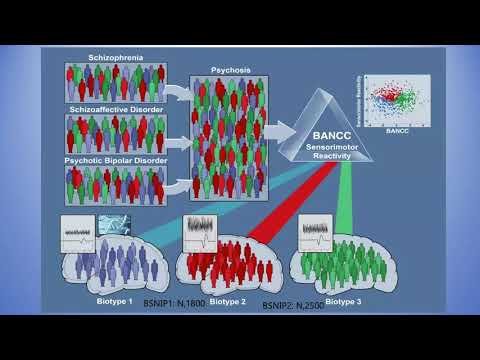 Discovering Neurobiology for Psychosis