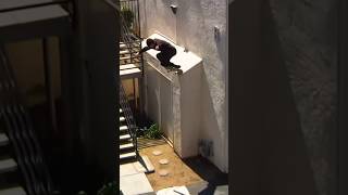 Instantly Makes You Grab Your Board