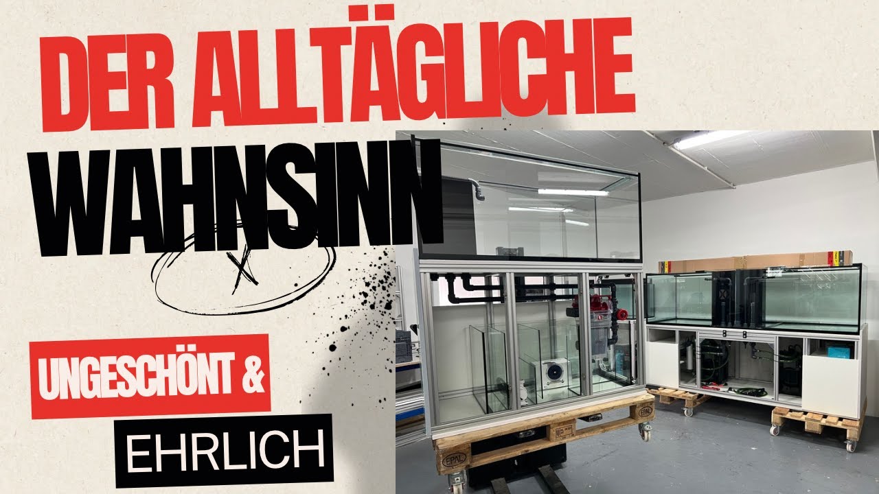 DER ALLTÄGLICHE WAHNSINN Ungeschönt und Ehrlich