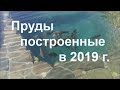 Пруды 2019