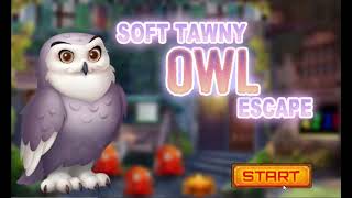 PG Soft Tawny Owl Escape Game Walkthrough screenshot 4
