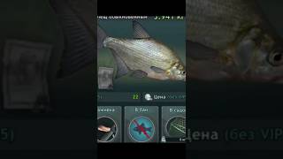 World of Fishers. Лещ. #fishing #игры