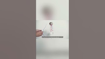 Aqara Smart Door Lock A100 Pro Fingerprint Lock APP Bluetooth Password NFC 7 Unlock