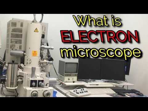 वीडियो: इलेक्ट्रॉन माइक्रोस्कोप: एपिसोड XI
