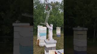 Apijuneda Crane - Aj 2008 Tk