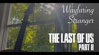 Wafaring Stranger (The Last Of Us Part 2) Cover