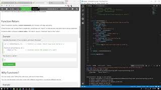 Amateur to Pro Dev. Challenge | Day One | Starting with JavaScript and Making Dice Roll App