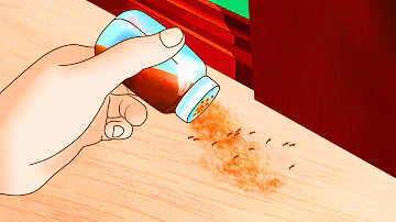 Comment se débarrasser des coléoptères dans la maison ?