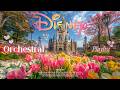 [live] soft disney orchestral for a bright spring morning 🏰🌷 tulip garden at disneyland ambience ☁️