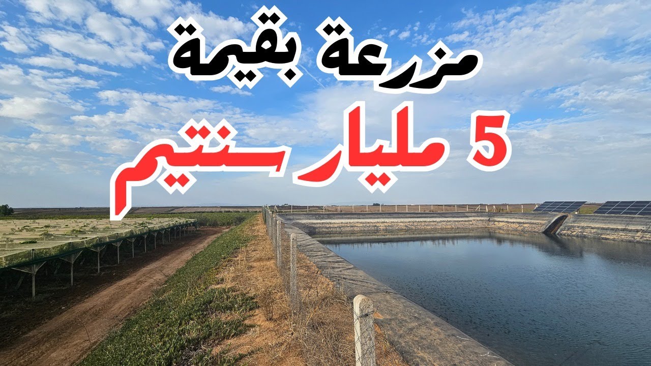 🇲🇦 نعم أمولاي هذه مزرعة قيمتها 5 مليار سنتيم | مليار كنطح مليار 🇲🇦