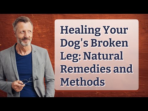 Healing Your Dog's Broken Leg: Natural Remedies and Methods
