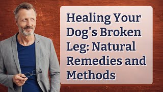 Healing Your Dogs Broken Leg Natural Remedies And Methods