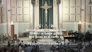 Décimoprimero Domingo del Tiempo Ordinario - 14 de Junio del 2026