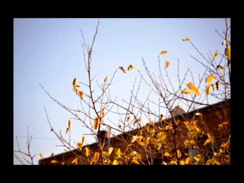 მამა პეტრე – ,,ფოთოლცვენა\"