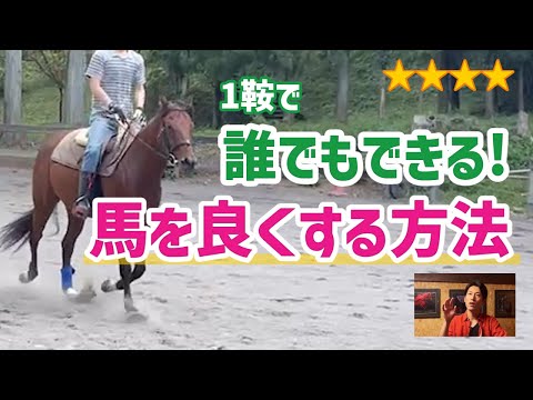 馬のカーブ（飛節腫脹）の原因と治療法｜愛馬を守る完全ガイド