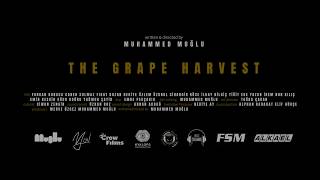 Bağ Bozumu (The Grape Harvest) Backstage Documentry