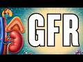 GFR Adrenal Cortex Song | Medical Revision Mnemonic