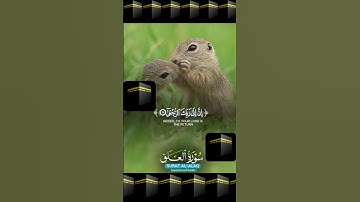 سورة العلق (القارئ احمد العجمي) #qurankrem104#اكسبلور #عبدالرحمن_مسعد #quran#احمد_العجمي #سوره_العلق