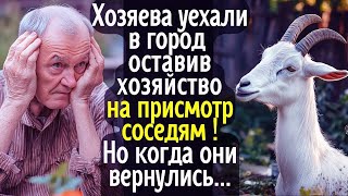Хозяева уехали в город, оставив своё хозяйство под присмотр ушлых соседей  А когда они вернулись