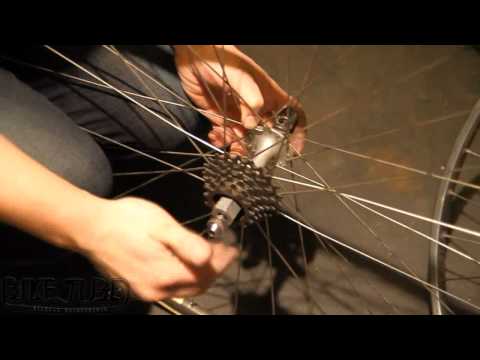 Removing a bicycle freewheel the proper way | TheBikeTube.com