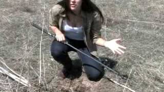 Prairie Rattlesnakes