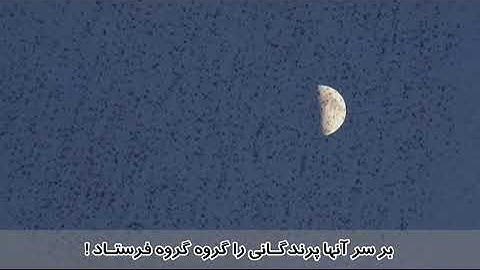 ترجمه تصویری سوره فیل با صدای استاد بهروز رضوی