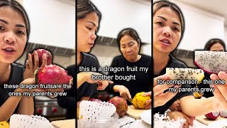 Trying Parents vs Grocery Store Dragon Fruits