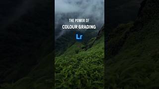 The Power of Colour Grading| Lightroom mobile preset | #colourgrading #nature