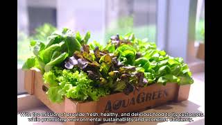 AquaGreen | Corporate Video (English)