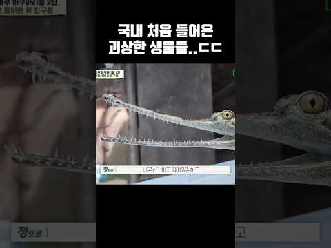 와 둘다 5미터 이상 큰다는데..?