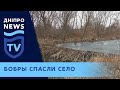 Як бобри в село воду повернули