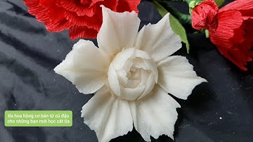 Hướng dẫn cắt tỉa cơ bản./ tỉa hoa hồng trên củ đậu cho những bạn mới bắt đầu học tỉa I Bài 4