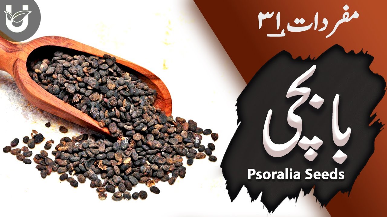 Baabchi (Psoralia Seeds) | بابچی