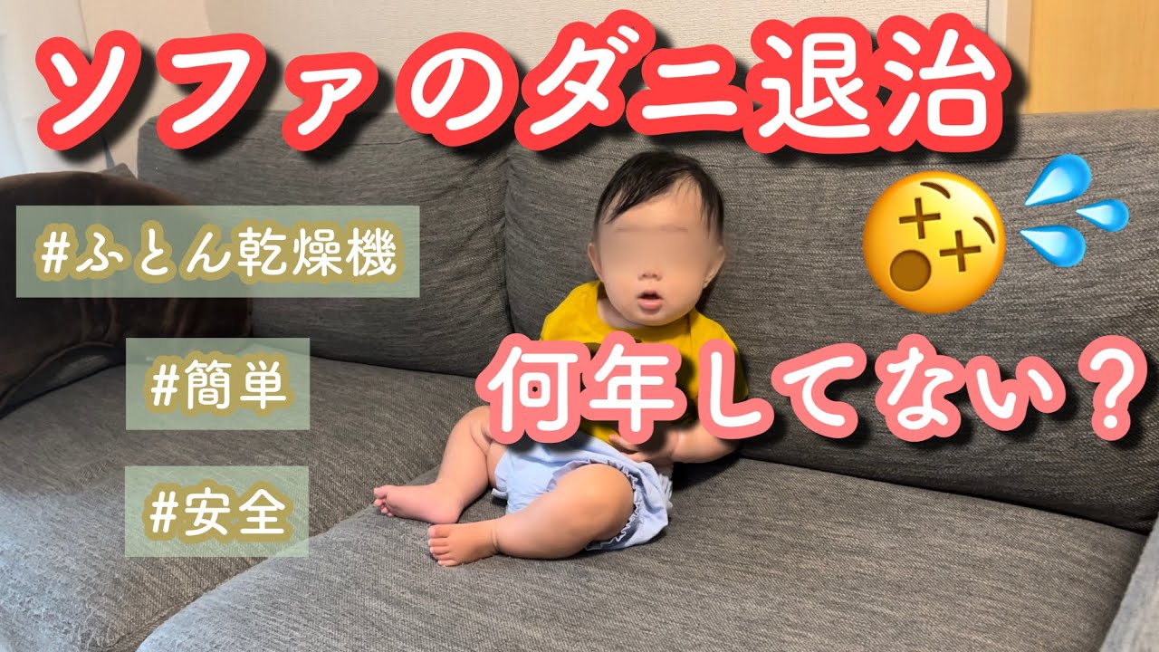 ソファー の ダニ 退治
