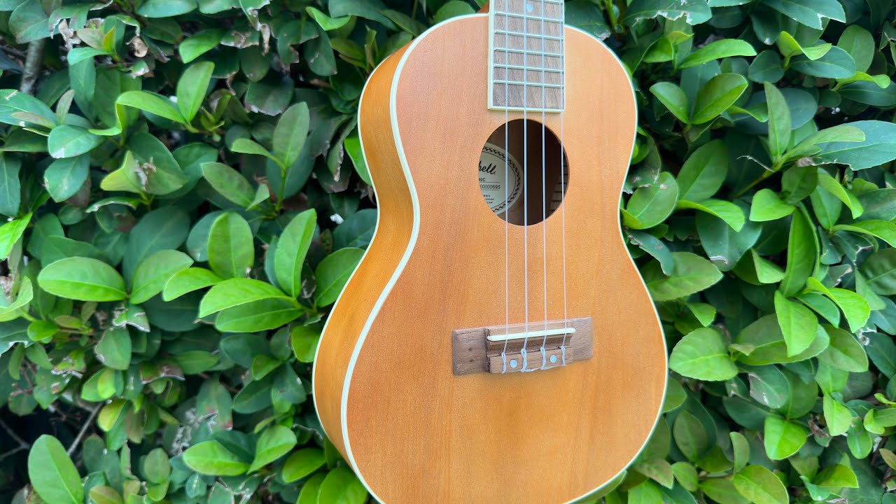 Good Vibes With The Mitchell Ukulele MU40C YouTube