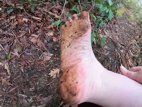 Barefoot Hiking | Dill Falls | Nantahala National Forest
