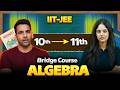 10th to 11th moving students bridge course || Algebra by Dhairya Ma'am (AIR29)