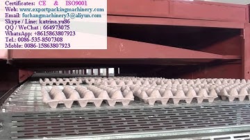 single layer drying line