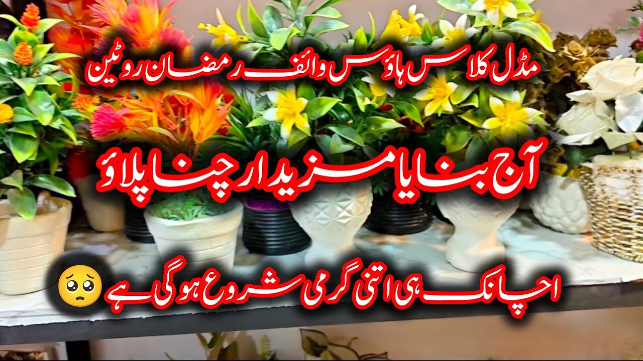 Middle Class House Wife Productive Ramzan Routine | Chana Plao Recipe 