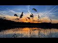 Take a seat and enjoy the tranquility at the lake  sunset at the lake for relaxation  4k ultra