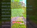 God Remains Sovereign #God, #sovereignty, #God'speace, #surrender, #Godreigns, #@eliana3225