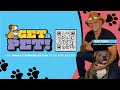 Get a Pet: Meet Sugarsnap