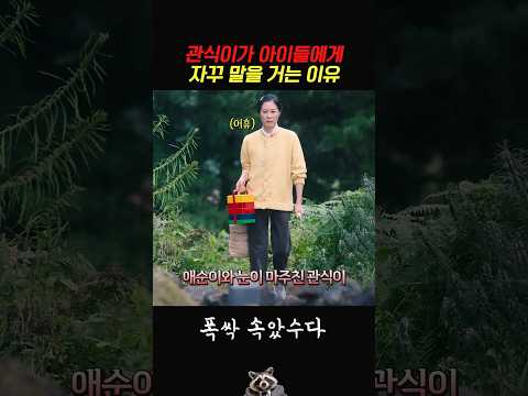 관식이가 아이들에게 자꾸 말을 거는 이유 #폭싹속았수다