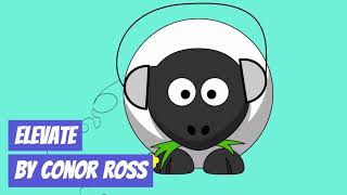 Elevate - Conor Ross