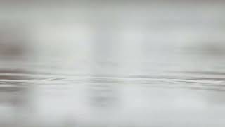 One hour of sweet summer rain