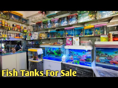 Fish Tanks For Sale At Star Aquarium Shop In Subhash Nagar | Imported & Hand Made Aquariums