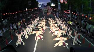 ゑにし　紀州よさこい【けやき①】