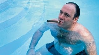 James Gandolfinis Accomplished Career