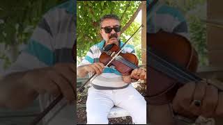 Mersin Bozyazı gani dayı